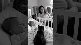 our little guard never sleeps 🐾 #cctvstyle #nightvision #catlove