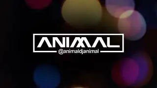 SOPETEO 10   DJ ANIMAL