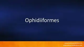 How to pronounce 