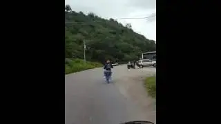 Caballito en la grita edo tachira bajando a seboruco