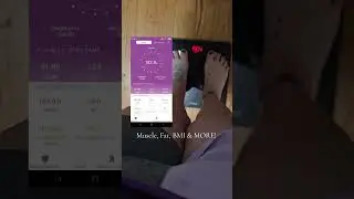 Renpho Smart Body Scale