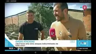 Manu Brea en 