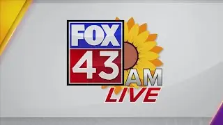 Fox 43 AM Live Female crash test dummy 112425