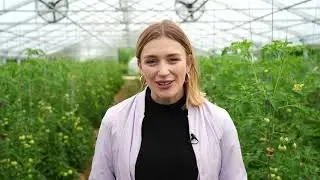 Solidarische Landwirtschaft mal anders - was hinter dem Konzept des Kartoffelkombinats steckt