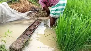 Village primitive fishing videos
