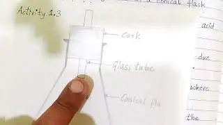 Episode 7 | Chapter 1| Chemical Reactions and its Equations | Code 83-E | Activity 1.3| Chemistry |