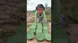 Survival Skills: Single mom with Lotus Seed Skills in Forest #camping #outdoors #bushcraft