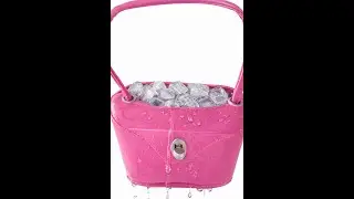 Ice in My Purse