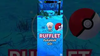 Pokemon GO | Rufflet #rufflet #winter #pokemongo #pokemon #mobilegame #androit #gameplay #ios