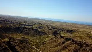 Bird Of Prey Attacks Drone