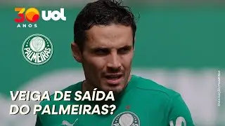 PALMEIRAS: AM&Eacute;RICA-MEX ACIONA, E NEGOCIA&Ccedil;&Atilde;O POR RAPHAEL VEIGA AVAN&Ccedil;A