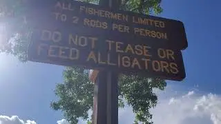 Hearing The Story Of A Scary Alligator Sighting! - Texas