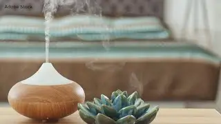 VERIFY | In most cases, oil diffusers are not dangerous for pets if they smell them