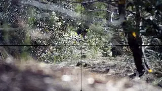NEVER put HEAD OUT in the SAME SPOT vs SNIPER ! Fatal Error