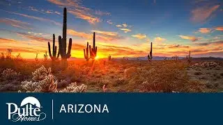 New Homes in Phoenix | Harvest | Home Builder | Pulte Homes