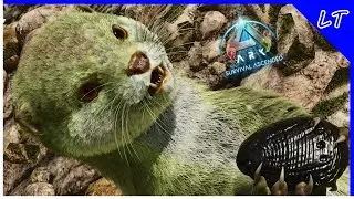 Taming A Bunch of Otters and A High Level Rex! | ARK Complete Journey | #14