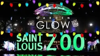 St. Louis Under the Lights | Christmas Light Events Around Town