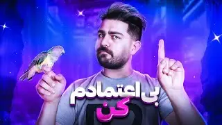با این 6 راه طوطی تان را به دشمن خونی خود تبدیل کنید!