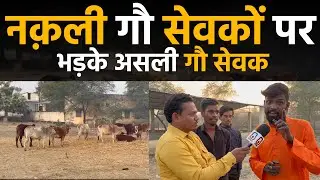 Bilaspur city कैमरे पर गौ सेवा, ज़मीनी सच्चाई में मौत नकली गौ सेवकों का फूटा गुस्सा