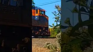 NS 1071 Flies Past Elyria, OH | #trains #railfan #trainspotting