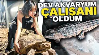 DEV TİMSAH BESLEDİM !!! / DEV AKVARYUM ÇALIŞANI OLDUM !