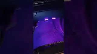 Wireless LED Lights Make Your Car Interior Look Insane At Night #AmbientLight #CarMods #CarLighting