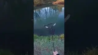 #1 fighting winter fish @ Meon Springs Fly Fishery 🐳 #trout #fly #fishing #flyfishing #troutfishing