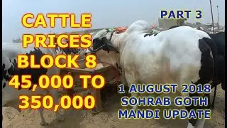 Cattle Prices in Block 8 - Sohrab Goth Mandi Update 1 August 2018 Part 3