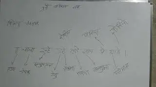 virus diseases