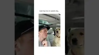 Learning how to speak dog language #shorts