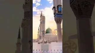 ऐसी सूराह्ह्ह्ह जो अल्लाह से आपके लिए सिफ़ारिश करेगी| #islamicvideo #ytshorts #fact #islamic