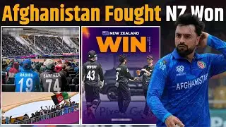 Afg vs NZ: Gulbadin Naib's efforts were in vain! New Zealand won thanks to Tim Seifert!