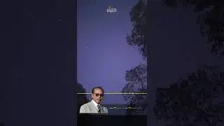 لماذا ينعشك هواء الريف؟ السر العلمي!