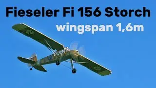 Fieseler Fi 156 Storch Dancing Wings | 1,6m scale RC airplane | 4K | Syrovice 2025