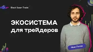 Что такое экосистема для трейдера Black Swan Trade