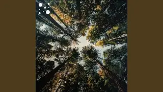 Woodpecker&rsquo;s Beat