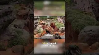 Disney's Splash Mountain Now Tiana's: New Ride, Old Traditions! #shorts