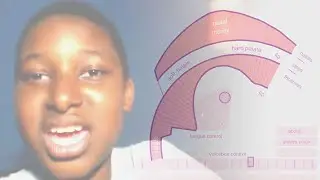 Longest Yeah Boi on Pink Trombone