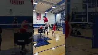 Volleyball Fans Video Download Match