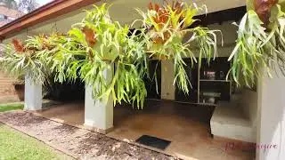 Casa en venta en el Poblado - Loma de los González