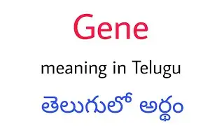 Gene meaning in Telugu || Gene తెలుగులో నమ్మత్ || Gene telugu meaning || Gene meaning || Gene means