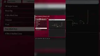 I created a FREE Custom playbook for NCAA 26!