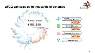 UFCG: database of universal fungal core genes and... - Dongwook Kim - EvolCompGen - ISMB/ECCB 2023