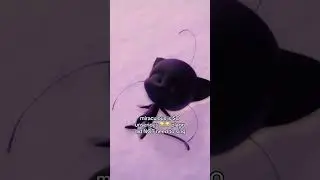 Plagg claws out?🤔...why did he started to sing lol....cr miraculousladybugsxo on ig✨️