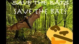 Save The Bats PSA
