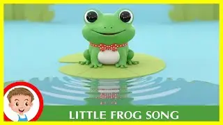 Little Frog Song For Kids | BINGO Kids Song & Nursery Rhymes