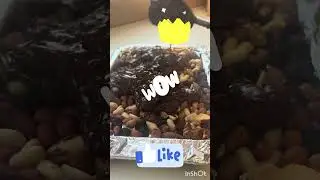 #food  #Chocolate  # video # nut bars ￼￼