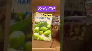 Sams Club , Gardening , plants 🪴 #shopping #samsclub #garden #plants