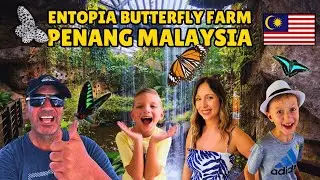 This Butterfly Garden in Penang Surprised Us! 🦋 Entopia Butterfly Farm