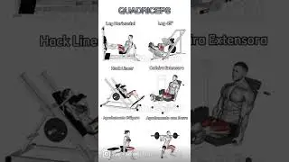 TREINO QUADR&Iacute;CEPS